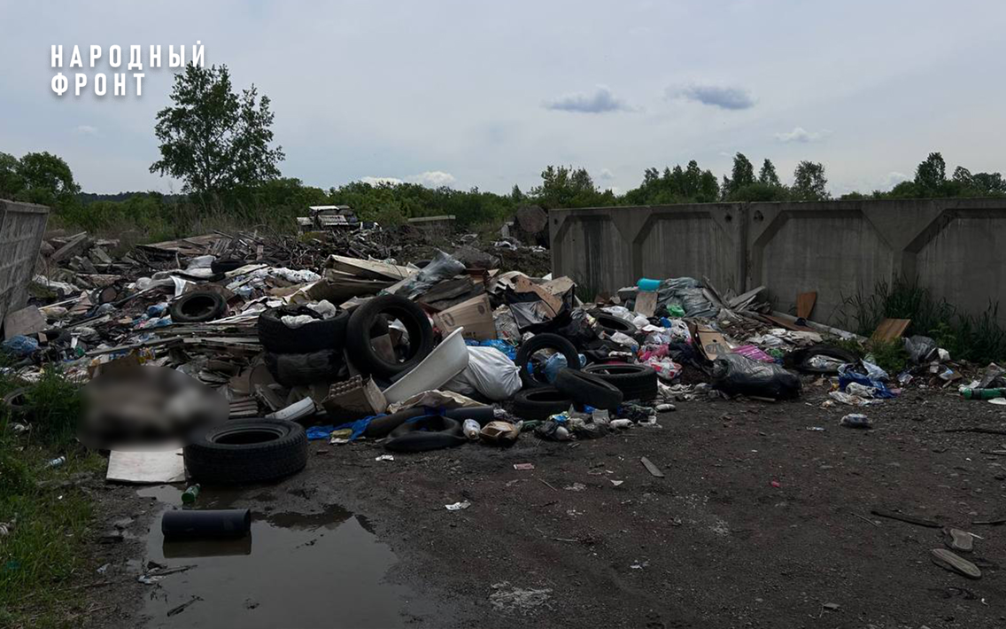 Несанкционированной свалкой в Иркутске заинтересовался председатель Следственного комитета Александр Бастрыкин