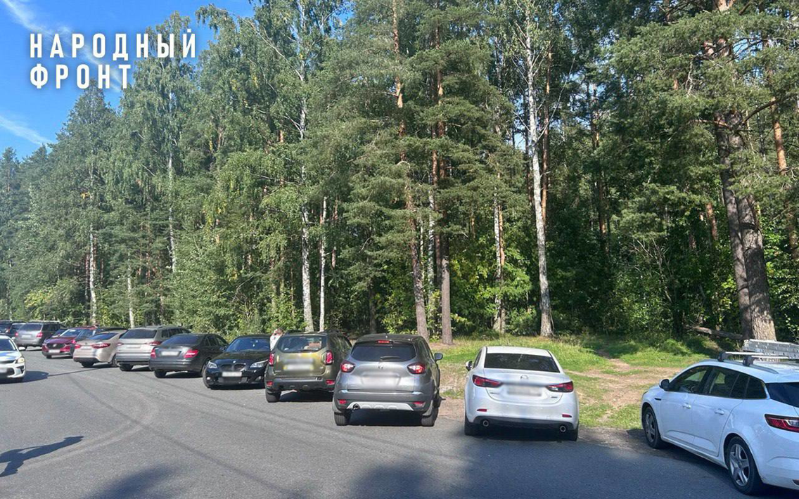 Народный фронт в Петербурге настаивает на выделении бесплатных парковочных мест для пациентов онкологических центров в посёлке Песочный