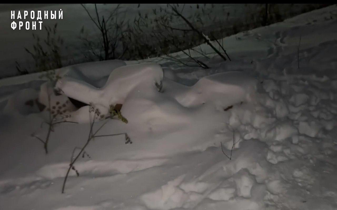 Народный фронт добивается ликвидации свалки бытового мусора на Шкиперском протоке в Петербурге