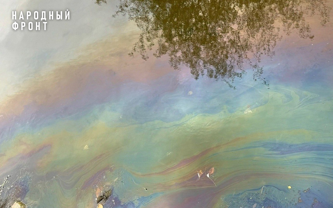 Народный фронт в Петербурге добивается выявления и ликвидации источника загрязнения реки Волковки