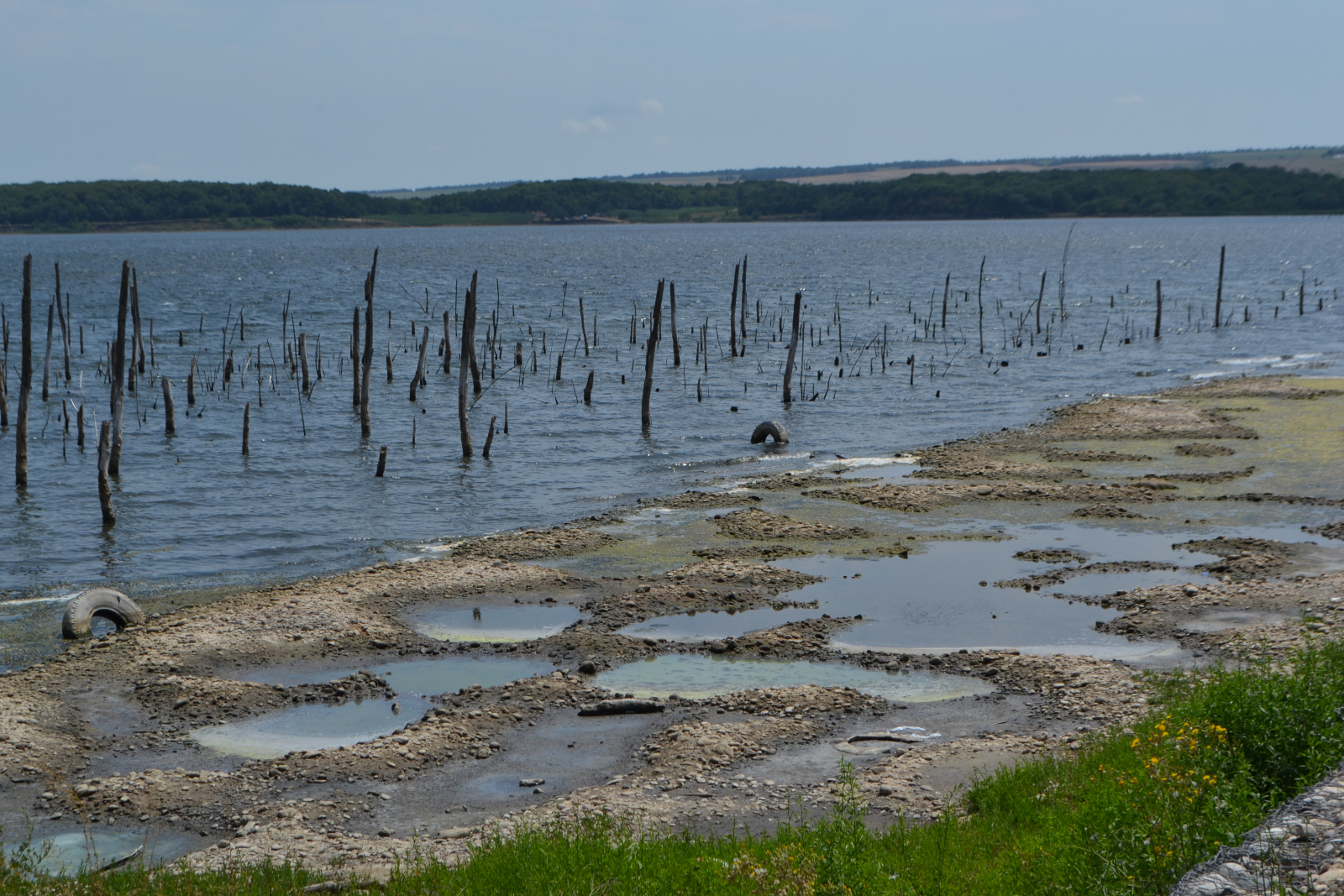 Пятигорск грязевое озеро тамбукан. Тамбукан ставропольский. Тамбукан ставропольский. Тамбукан ставропольский. Озеро тамбукан пятигорск.