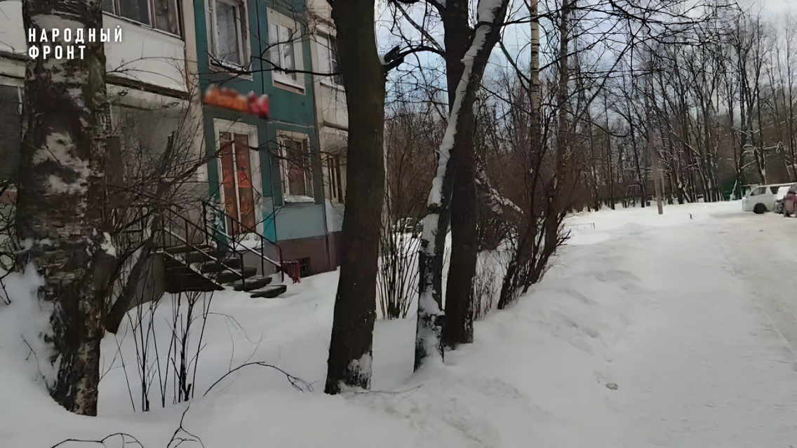 Народный фронт в Петербурге пресёк незаконную продажу алкоголя в розничном магазине, на работу которого жаловались местные жители