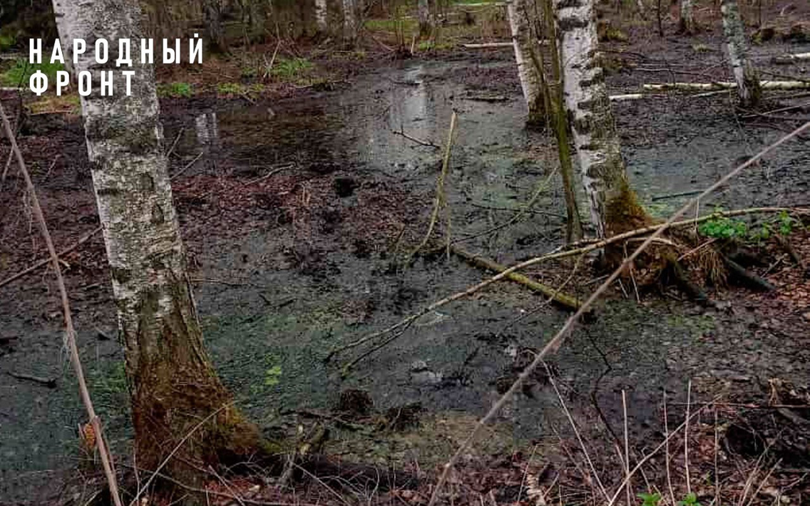 В Свечинском районе Кировской области неизвестные сливают в лес зловонную жижу