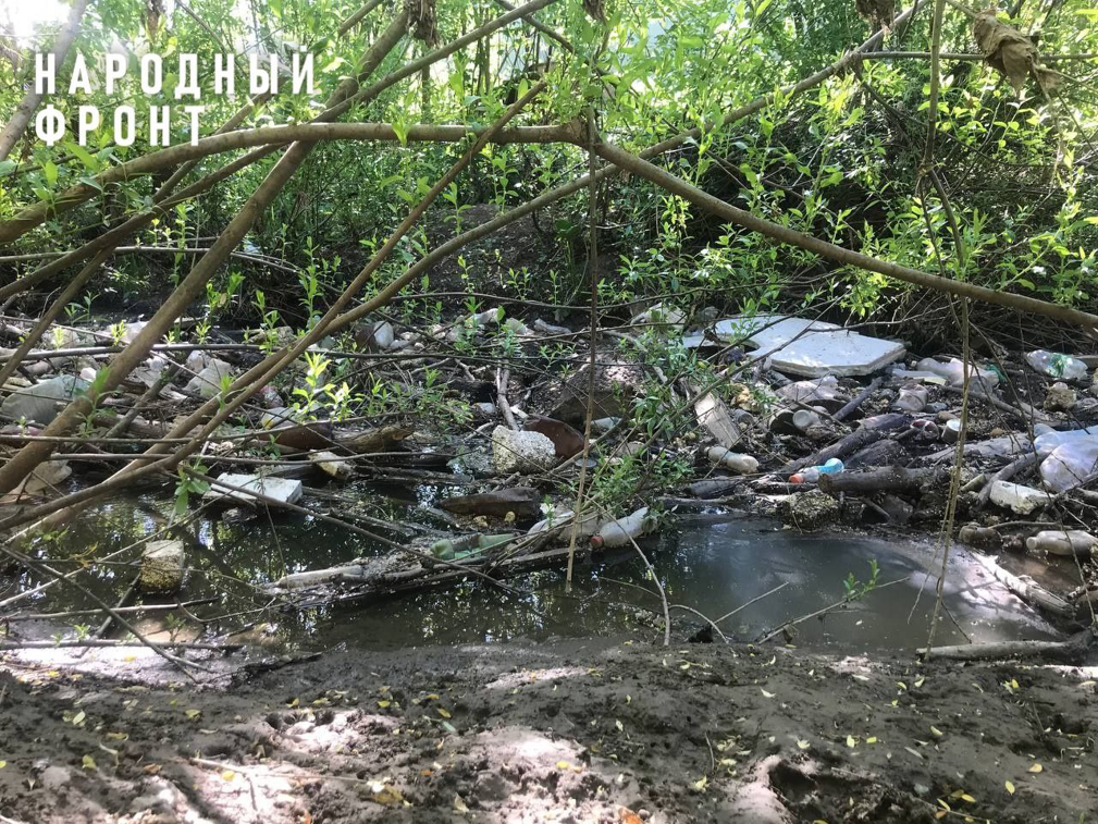 Народный фронт в Республике Татарстан требует убрать скопление мусора в русле реки Ноксы