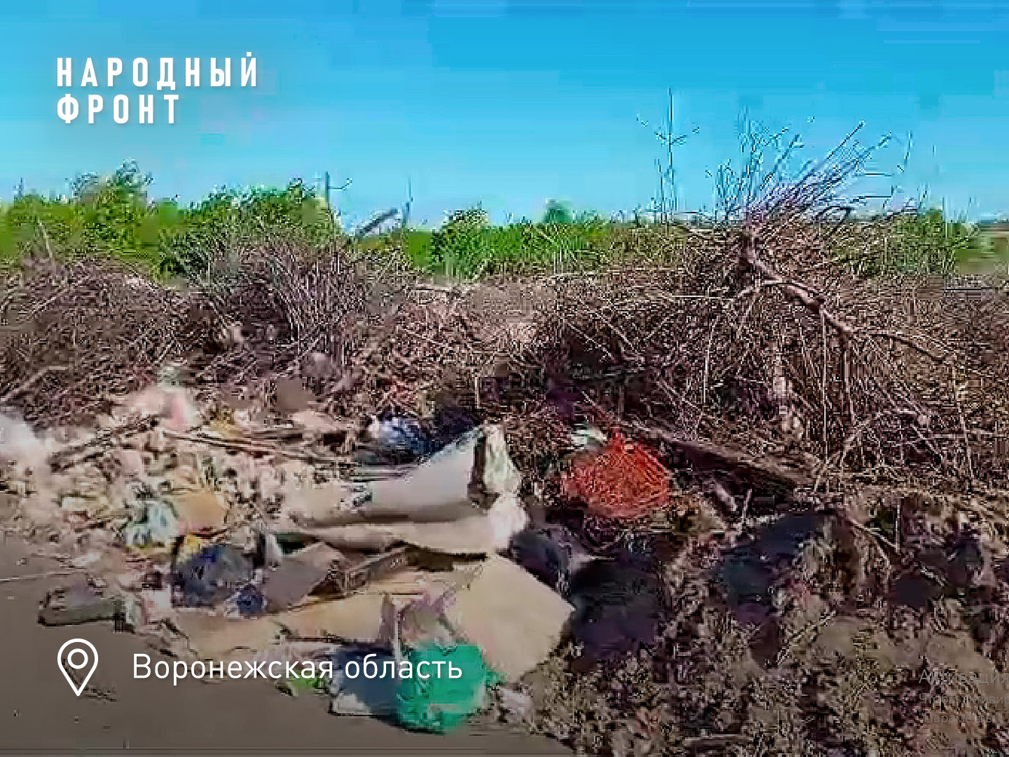 Ещё одну незаконную помойку создали муниципальные власти в Воронежской области