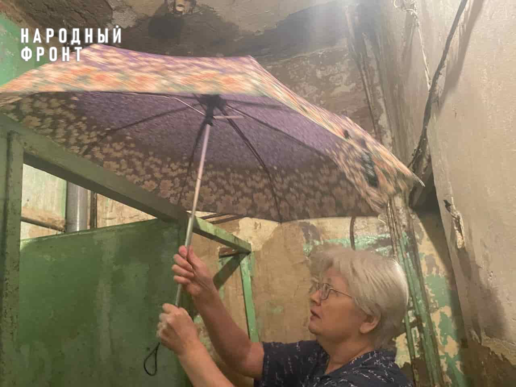 Грибное место: Народный фронт помогает жильцам исторического дома в Кирове, где из-за постоянных протечек начали расти грибы