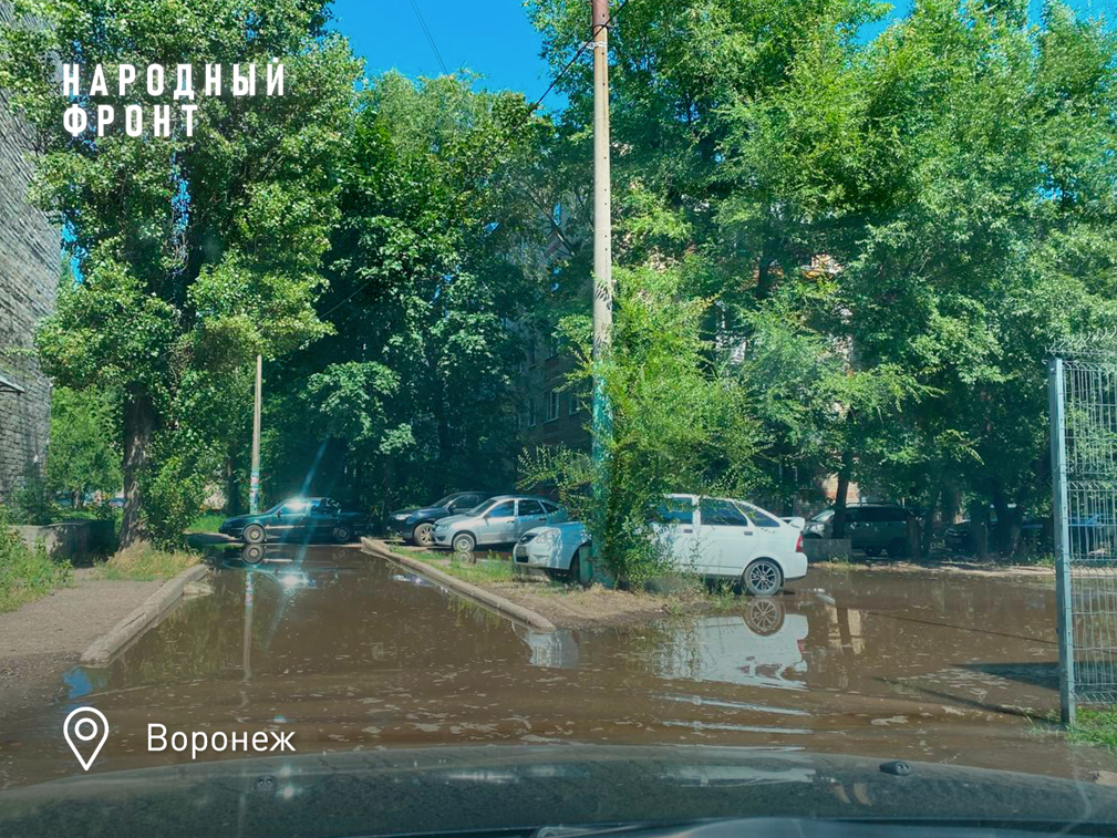 Народный фронт просит мэрию Воронежа решить проблему хронического подтопления двора девятиэтажки в Левобережном районе