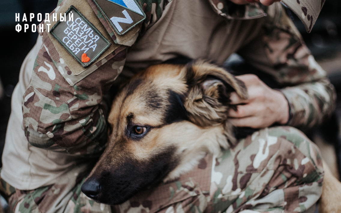 Волонтёры Молодёжного крыла Народного фронта помогли бойцу перевезти собаку из зоны СВО