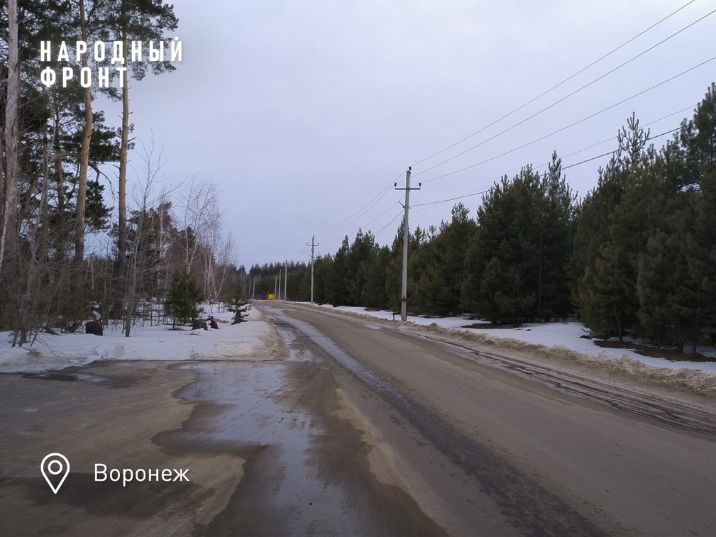 3 километра пешком через лес: жители воронежского посёлка 13 лет не могут добиться, чтобы к ним заезжал рейсовый автобус
