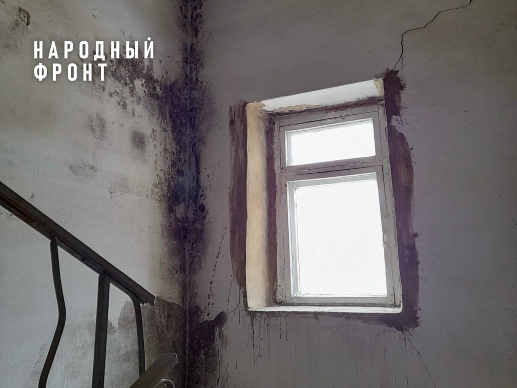Казанскую многоэтажку захватывает плесень, а жители получают лишь отписки
