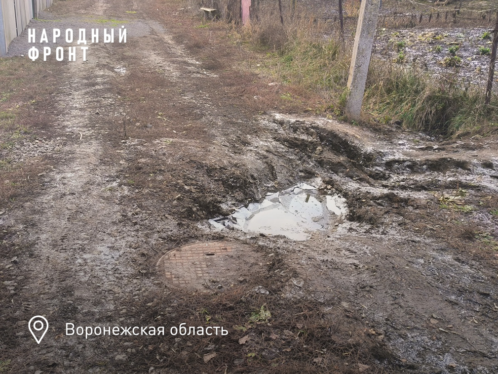 Народный фронт просит муниципалитет восстановить дорогу в воронежском посёлке Копенкина