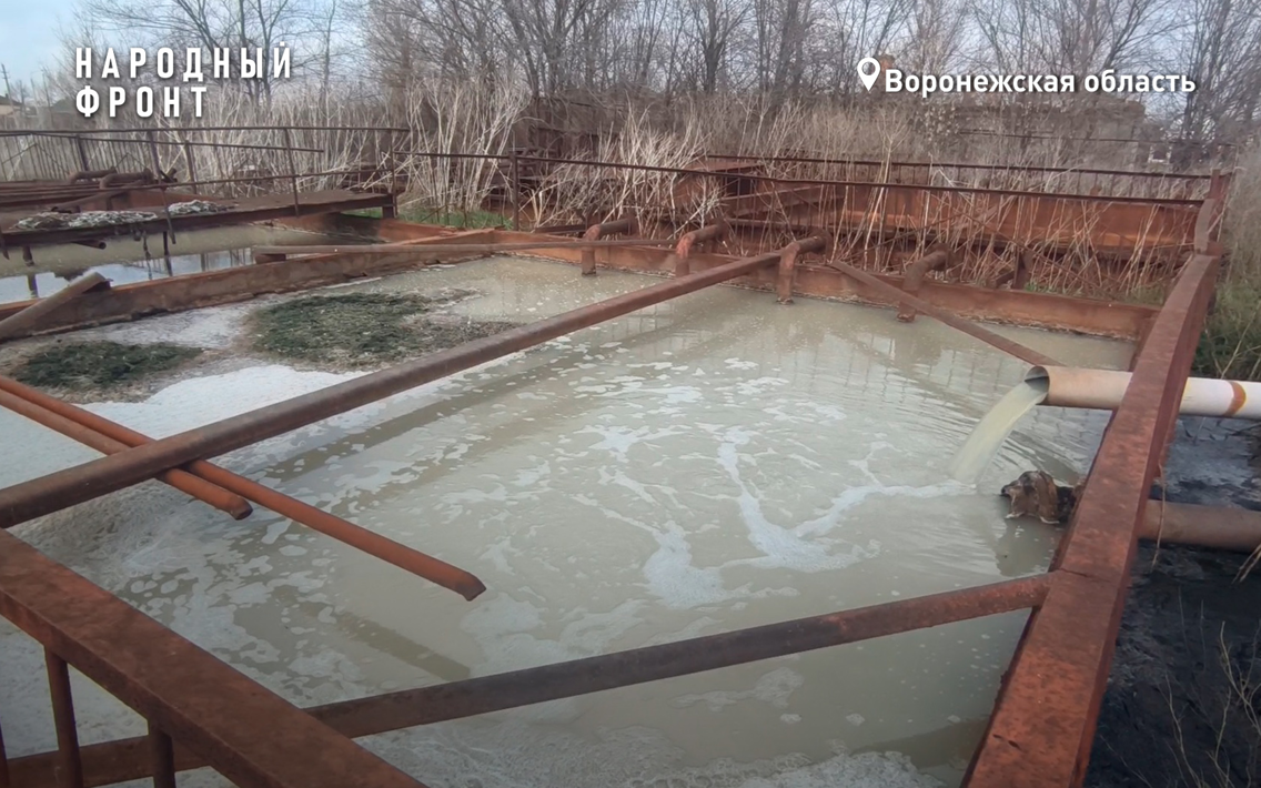 Дышать невозможно: в посёлке под Воронежем нечистоты продолжают сливать на неработающие очистные сооружения