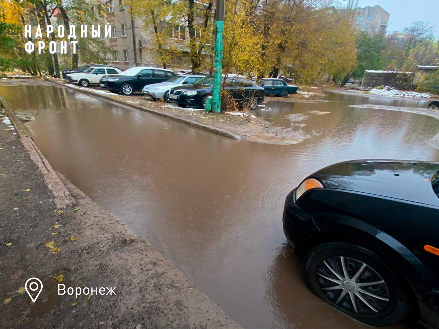 Народный фронт просит мэрию Воронежа решить проблему хронического  подтопления дв | #Новости регионов | Народный фронт